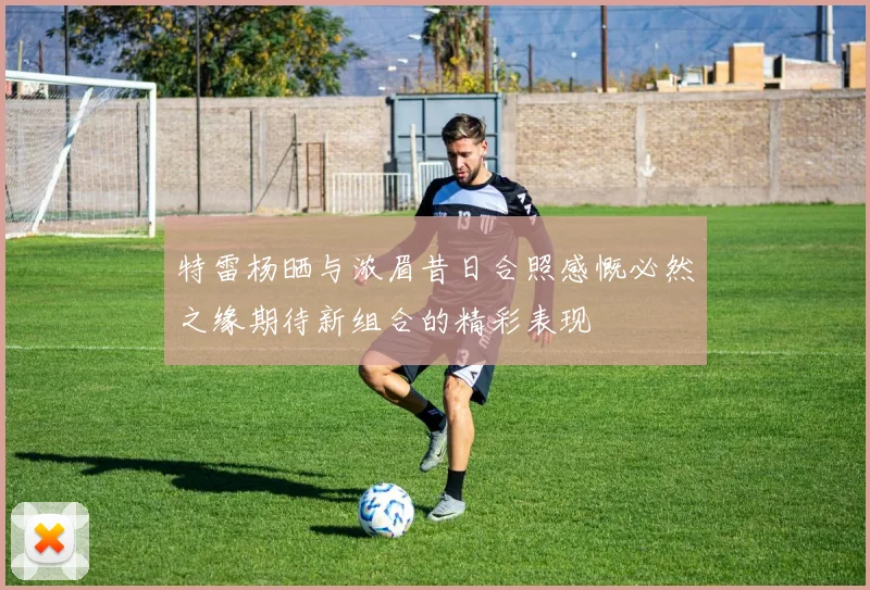特雷杨晒与浓眉昔日合照感慨必然之缘期待新组合的精彩表现