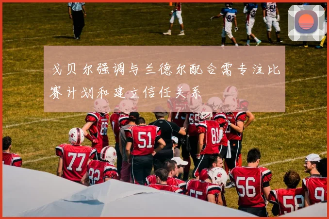 戈贝尔强调与兰德尔配合需专注比赛计划和建立信任关系